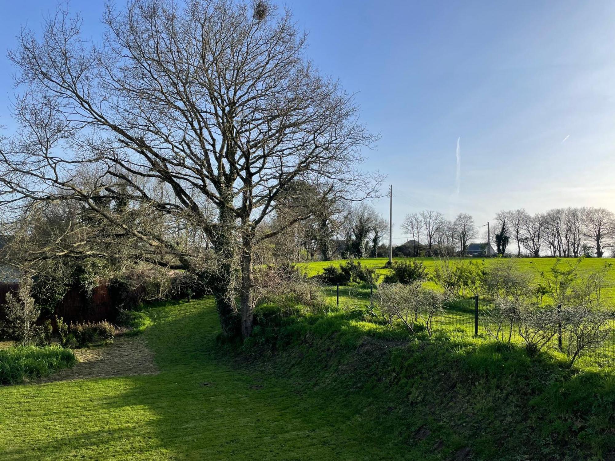 Gites D Izel2 Entre Terre Et Mer Pres D'Un Golf Ploemel Exterior photo